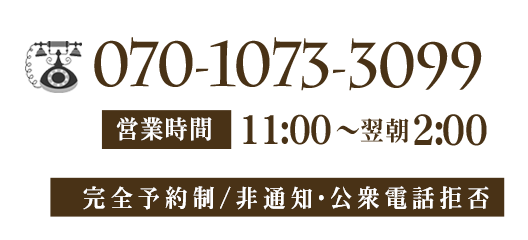 lpF070-1073-3099